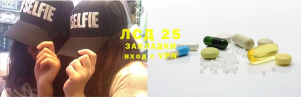 прущие грибы Алзамай