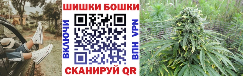 Конопля семена  Новокубанск 